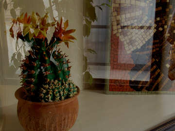 Cactus from marzipan №31729