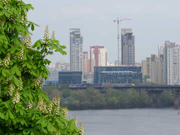 Panorama on the left bank of Kiev with blooming chestnut №31185
