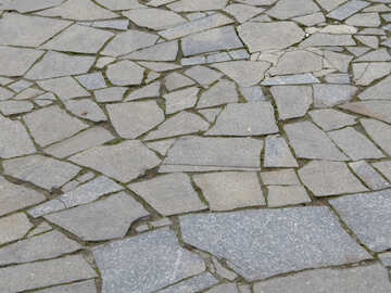Texture paving stones №31308