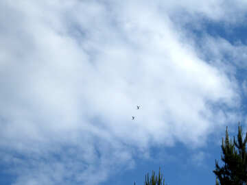 Warplanes in the sky №31607