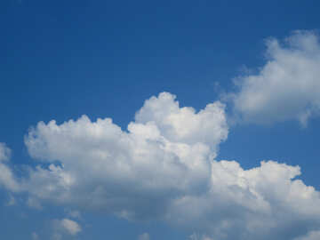 Cielo con nubes №31585