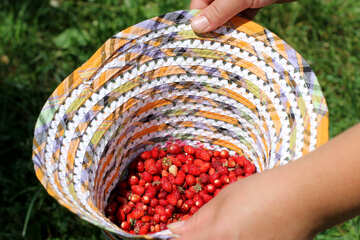 Erdbeeren in den Hut №31491