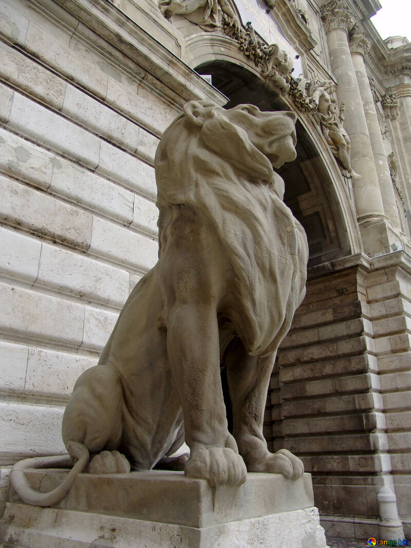 Lion sculpture №31941
