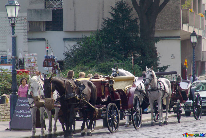 Horse carts №31969