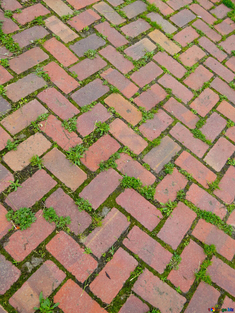 The texture of the old pavement №31310