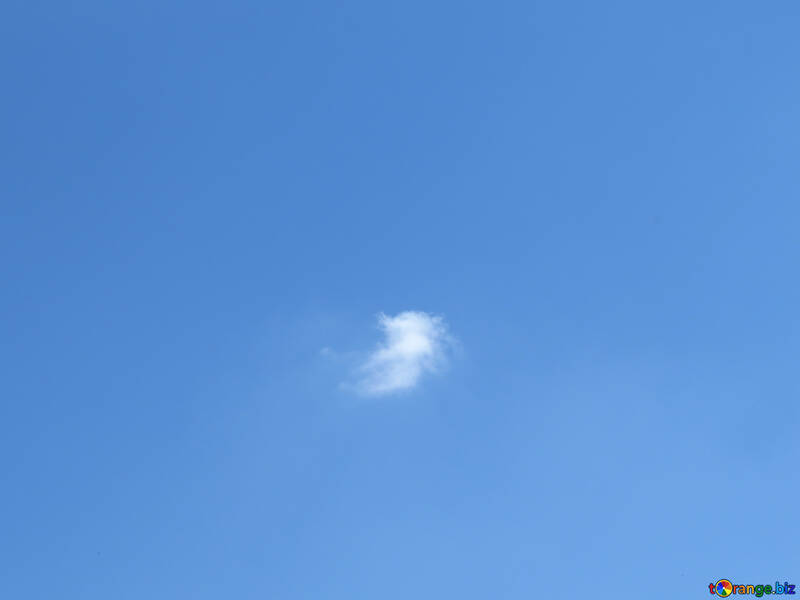 Little cloud №31551