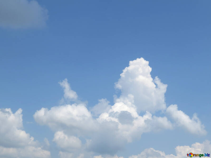 Cielo con nuvole №31559