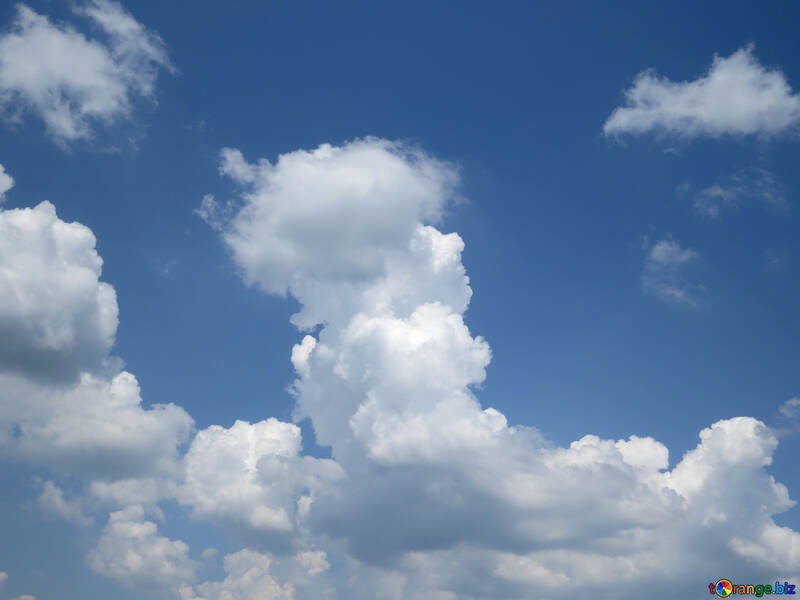 Cielo con nuvole №31573