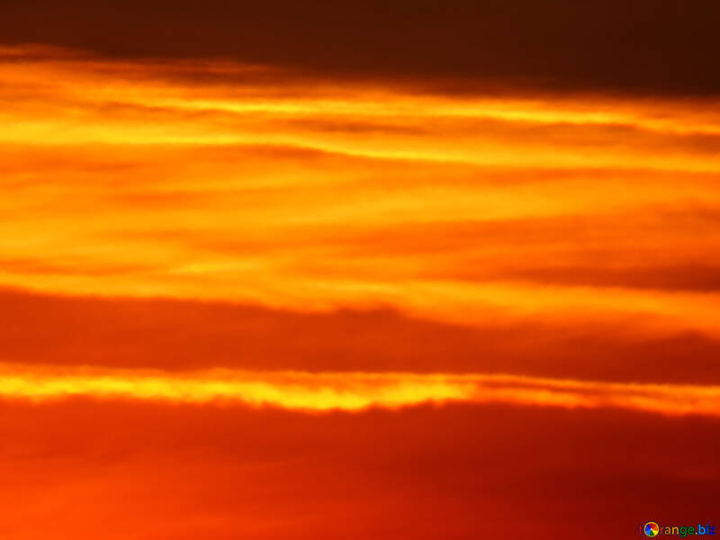 Red sunset №31609