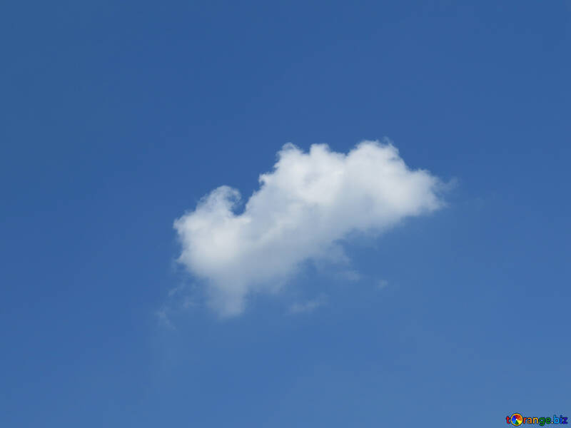 White cloud №31552