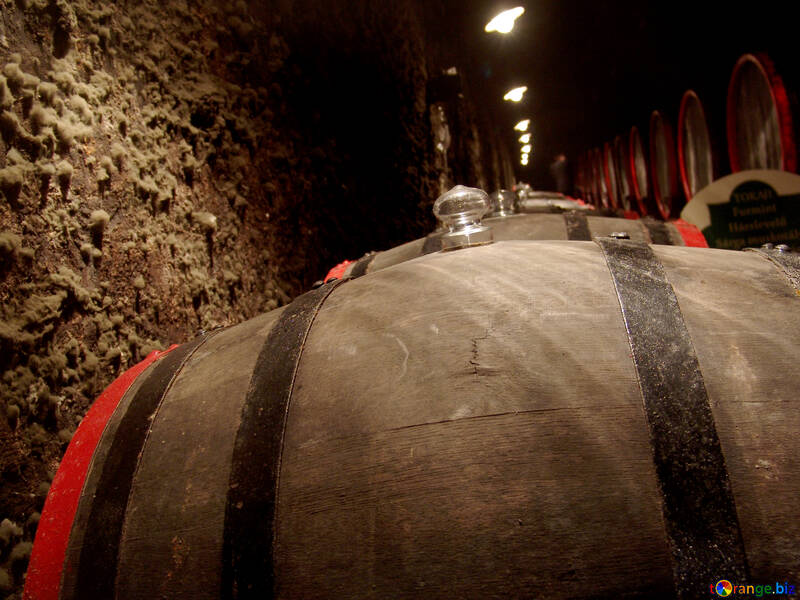 Barrels of wine in the cellar №31695