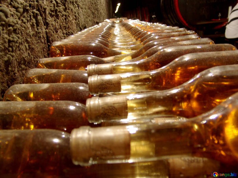 Bottles of wine №31698