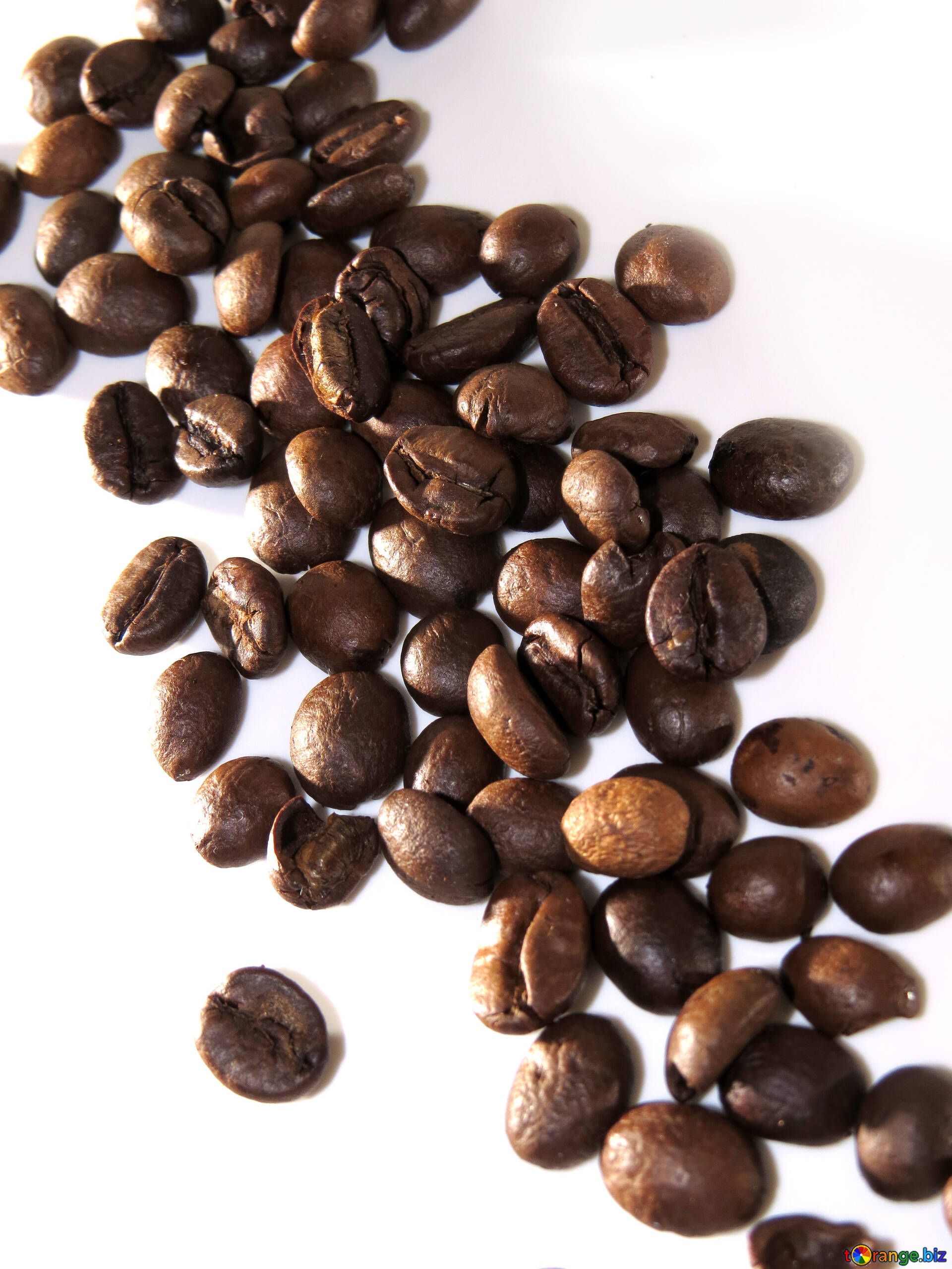 孤立したコーヒー豆 無料の写真 白の背景に緩んでいるコーヒーの穀物 無料の写真 コーヒー Torange Biz