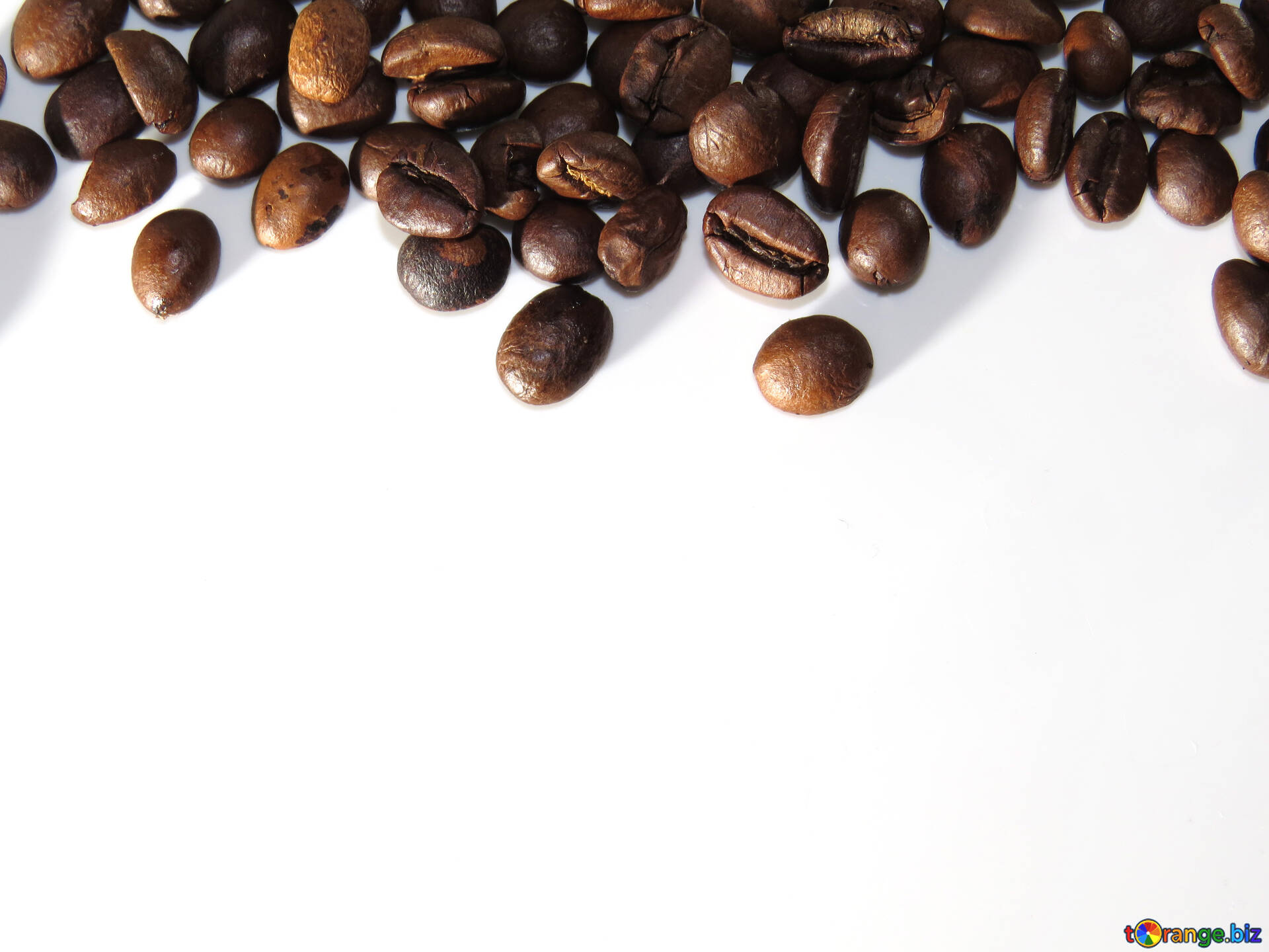 孤立したコーヒー豆 無料の写真 白い背景の上のコーヒー豆のフレーム 無料の写真 コーヒー Torange Biz