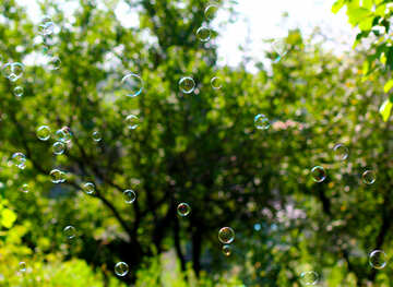 Soap bubbles  №32941