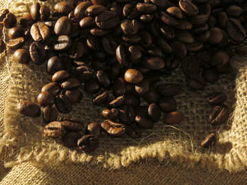 The aroma of roasted coffee №32264