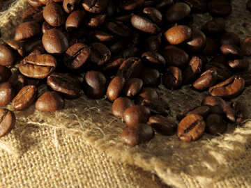 Natural coffee aroma №32263