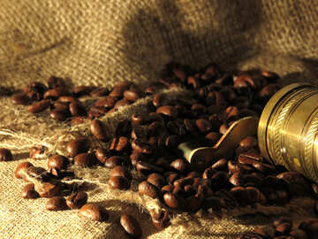 Coffee prices №32249