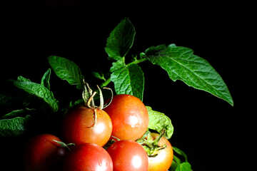 Beautiful ripe tomatoes №32873
