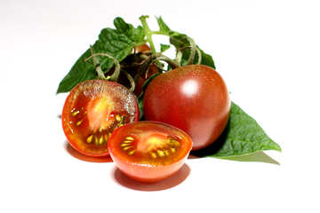 Tomatoes are insulated with leaves №32900