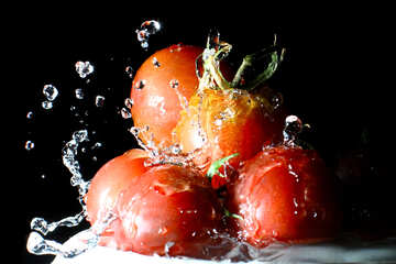 Tomatoes №32886