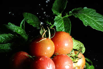 A beautiful picture of tomatoes №32872