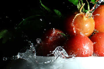 Juicy tomatoes №32866