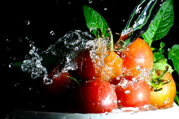 Ripe tomatoes №32854