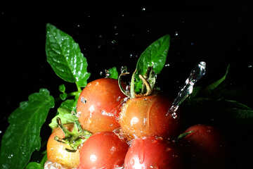 Ripe tomatoes №32857