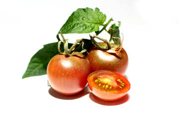 Tomates sur fond blanc №32903