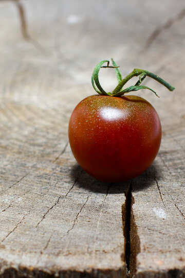 Tomaten №32927