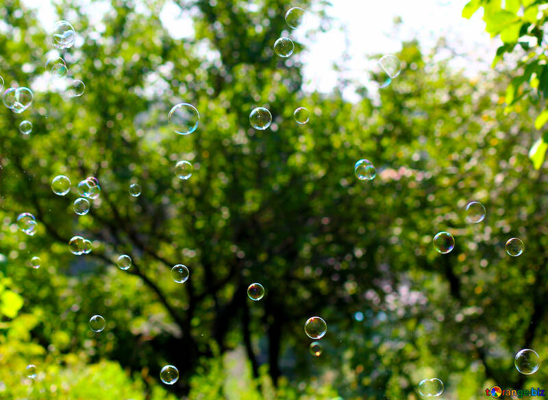 Мильні бульбашки №32941