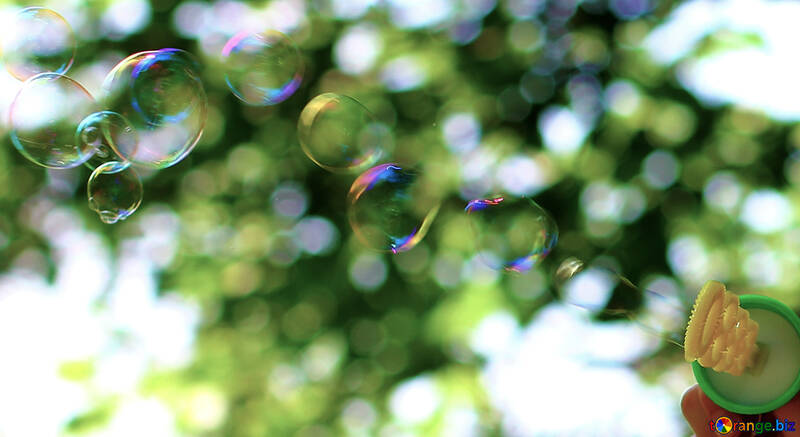 Multicolored bubbles №32948