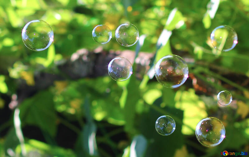 Multicolored bubbles №32952