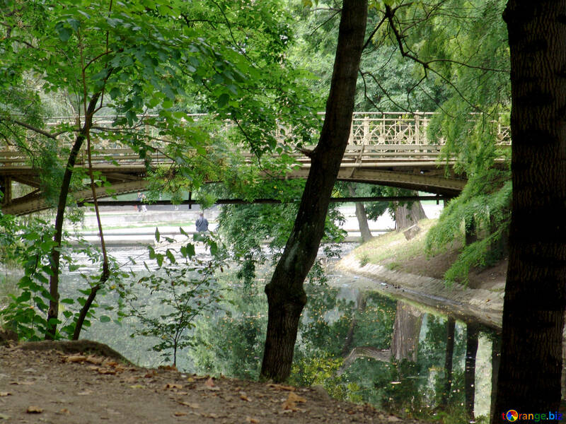 El puente en el parque №32021