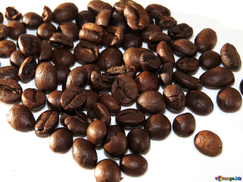 コーヒーの穀物 №32295