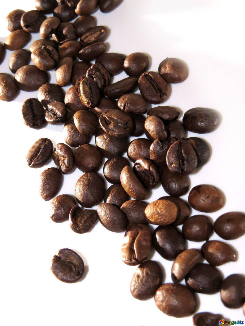 白の背景に緩んでいるコーヒーの穀物 №32286