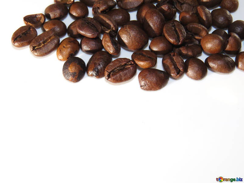 白い背景の上のコーヒー穀物 №32292