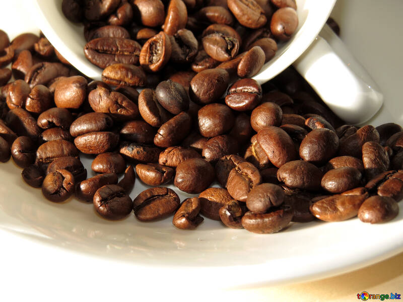 Granos de café orgánicos №32279