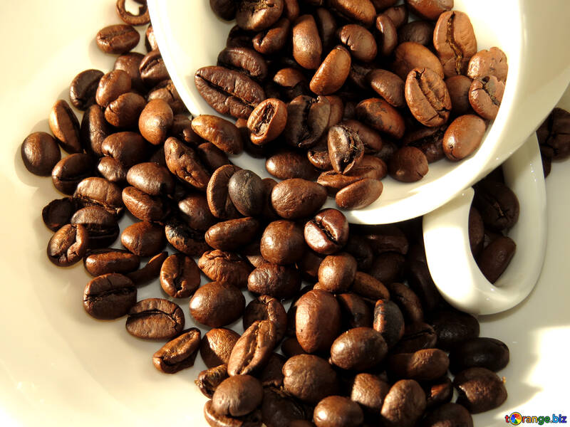 Roasted coffee beans №32281