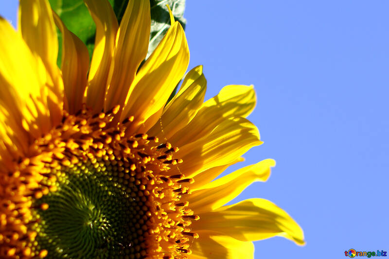 Yellow blue background on the desktop №32679