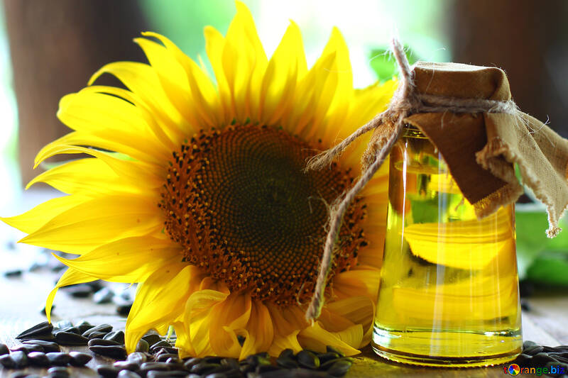 Sunflower oil №32726