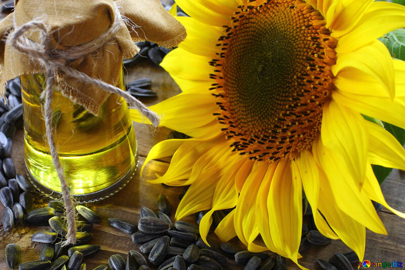 Crude sunflower oil №32738