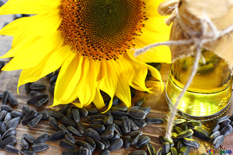 Fresh sunflower oil №32736