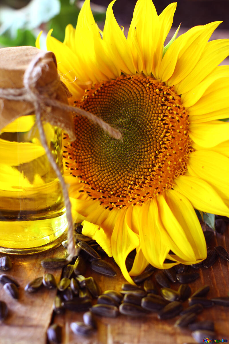 Home sunflower oil №32713