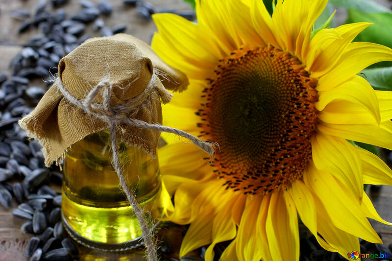 Sunflower seed oil №32742