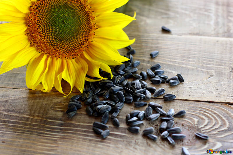 Roasted sunflower seeds №32755