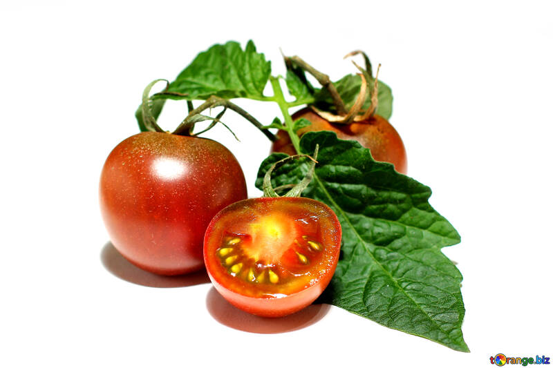 Tomaten mit Blättern, die isoliert auf weißem Hintergrund №32912