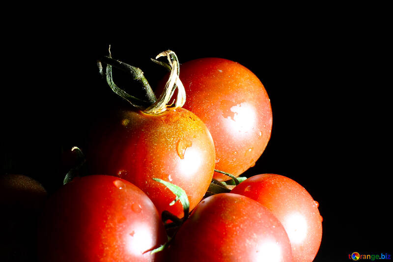 Tomaten №32888