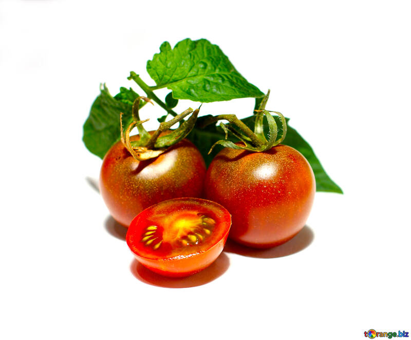 Tomatoes №32904